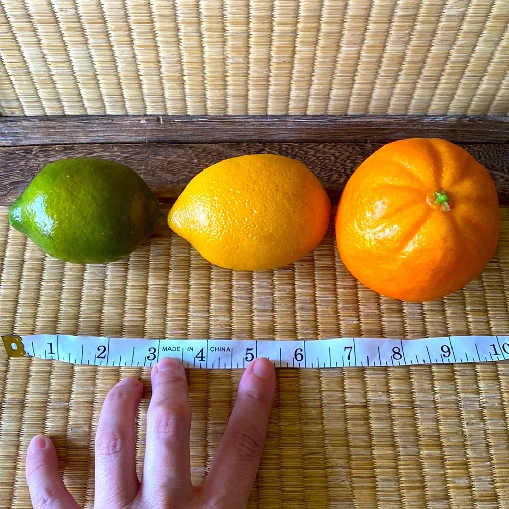 🆕CITRUS ARTIFICIAL FRUIT BUNDLE: Oranges, Lemons and Lime